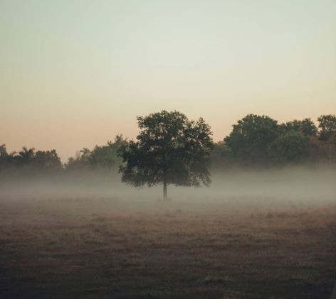 Find the Rightful Owners of Abandoned Houses in ...